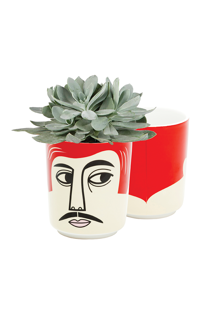 Urtepotte-Mr.-Peterson-med-plante