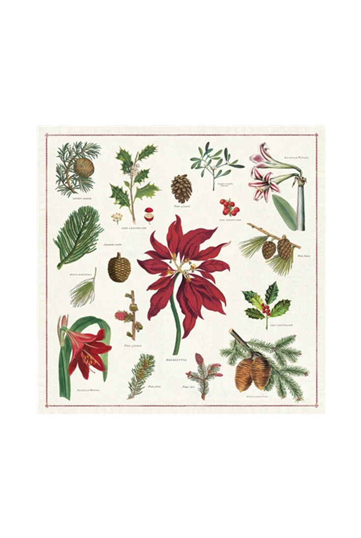 npkn-botanica-christmas