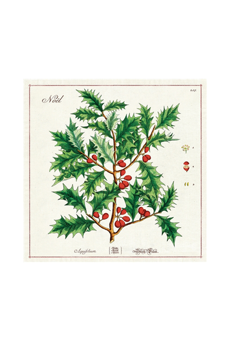 npkn-christmas-holly