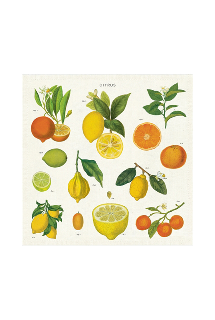 npkn-citrus