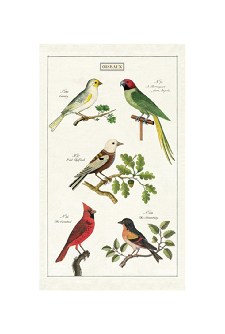 tt-birds