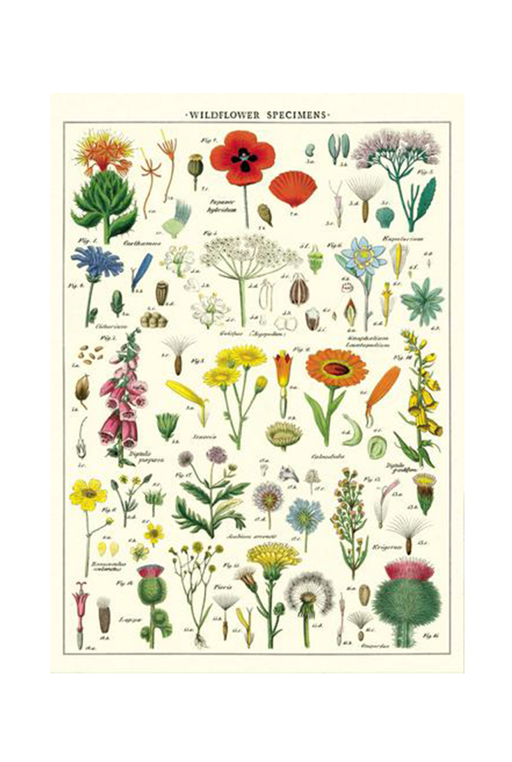 wildflowers-wrap
