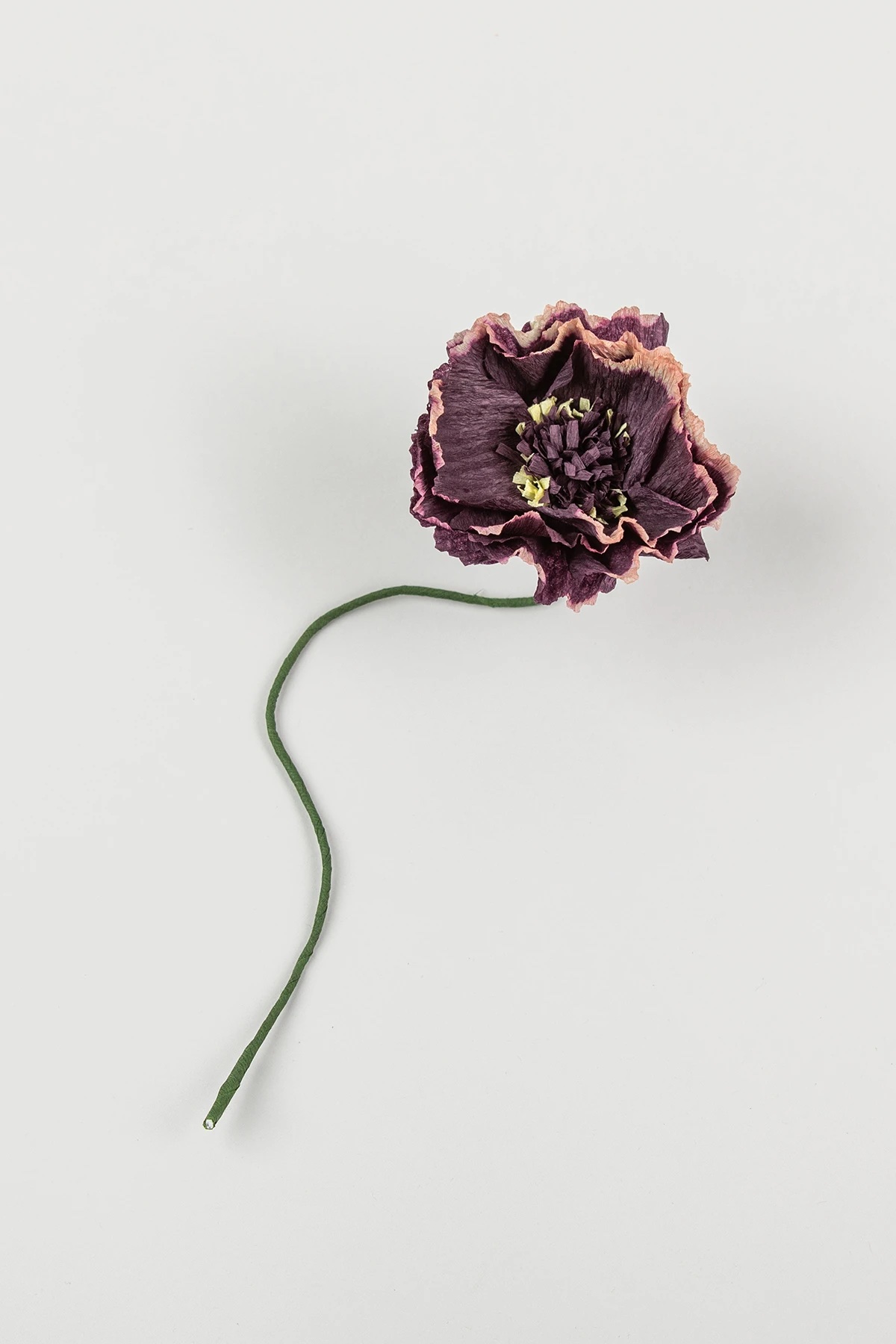 peony-aubergine-flower