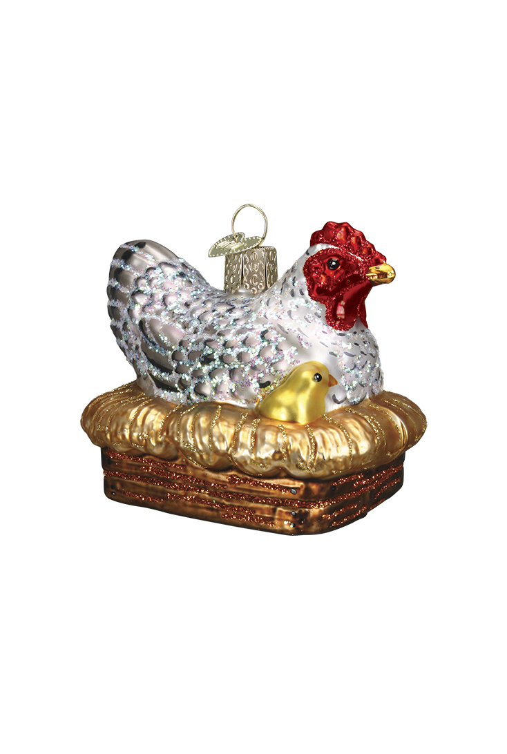hen-in-nest-16062
