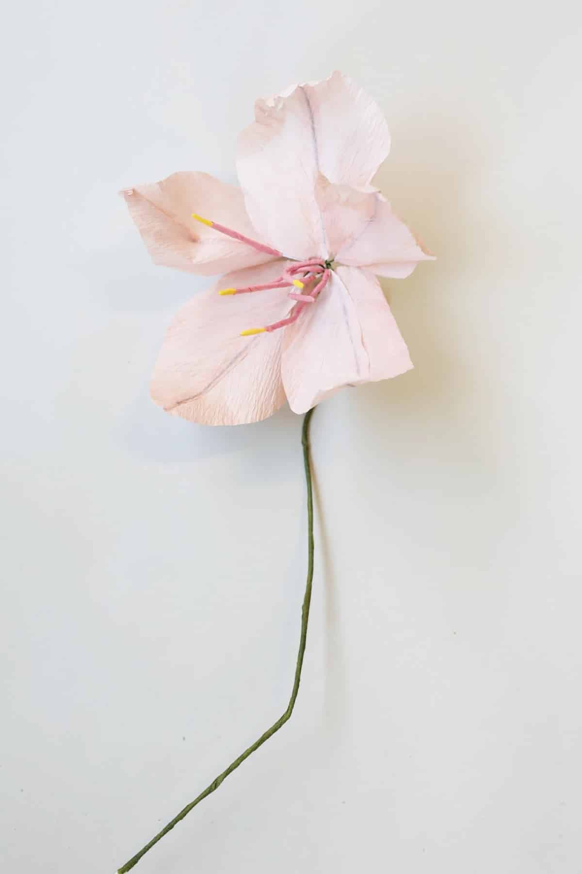 Paperflower-lily-studioabout-rose-papirblomster