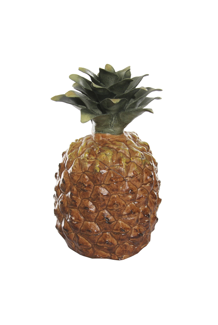 ananas-pineapple