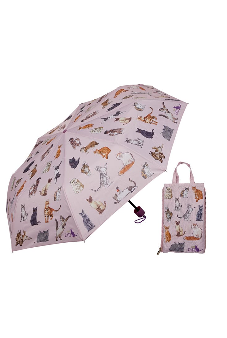 paraply-kat-med-pose