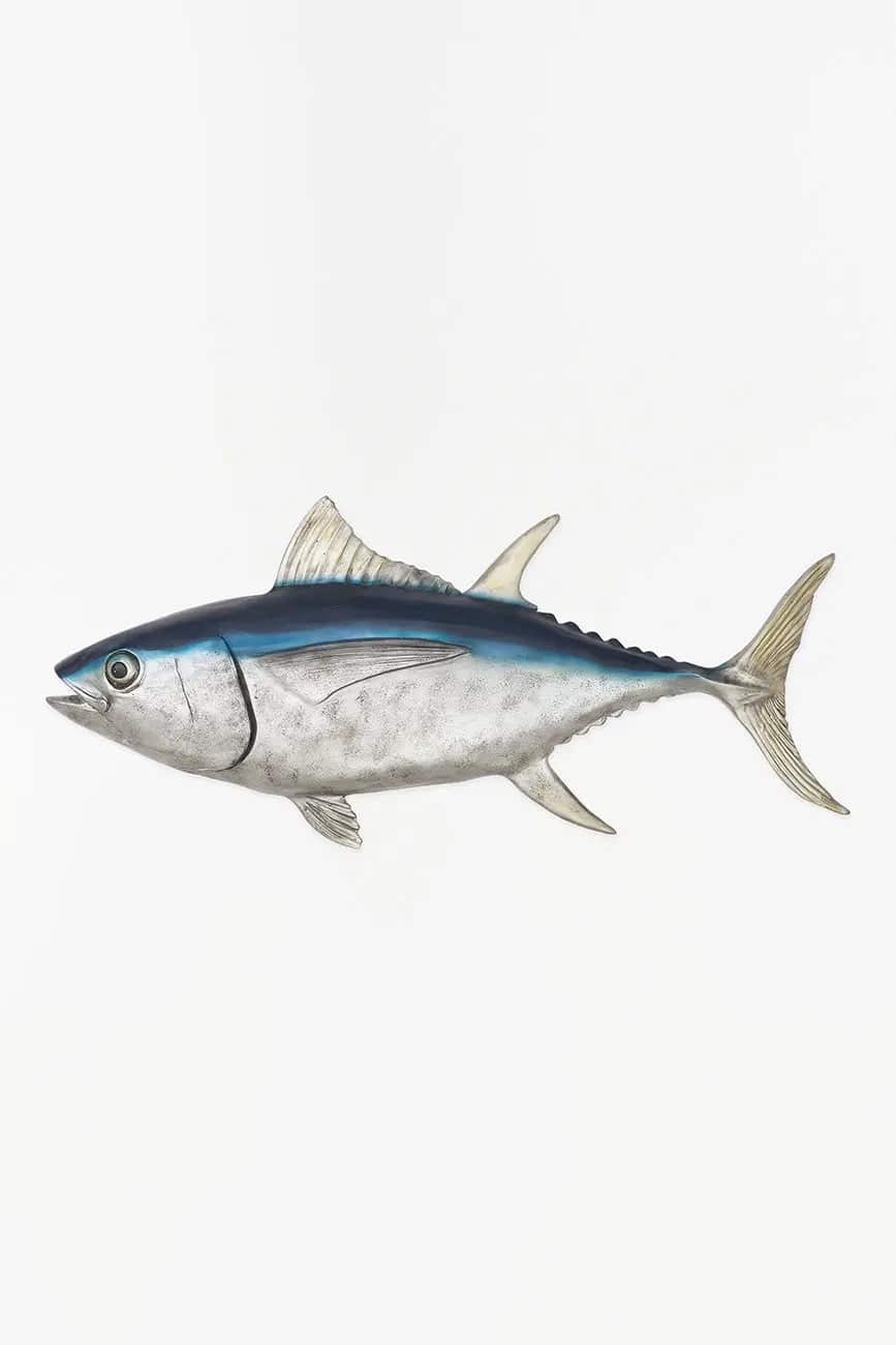 tunfisk