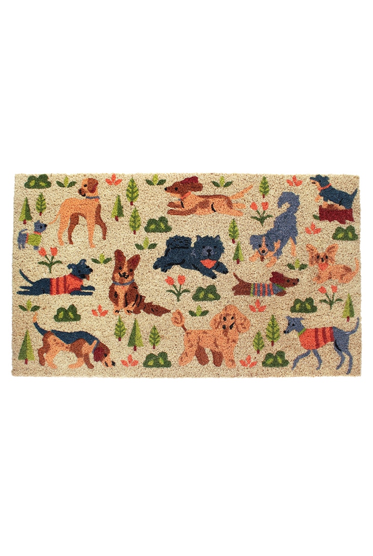 hundepark-doermaatte