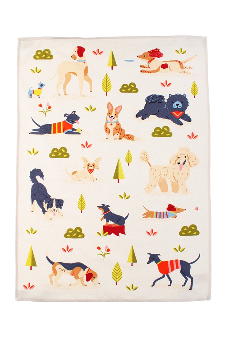 viskestykke-hundepark