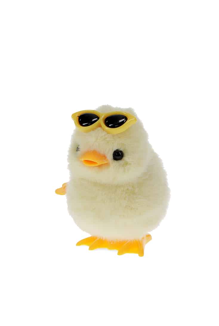 wind-up-duck