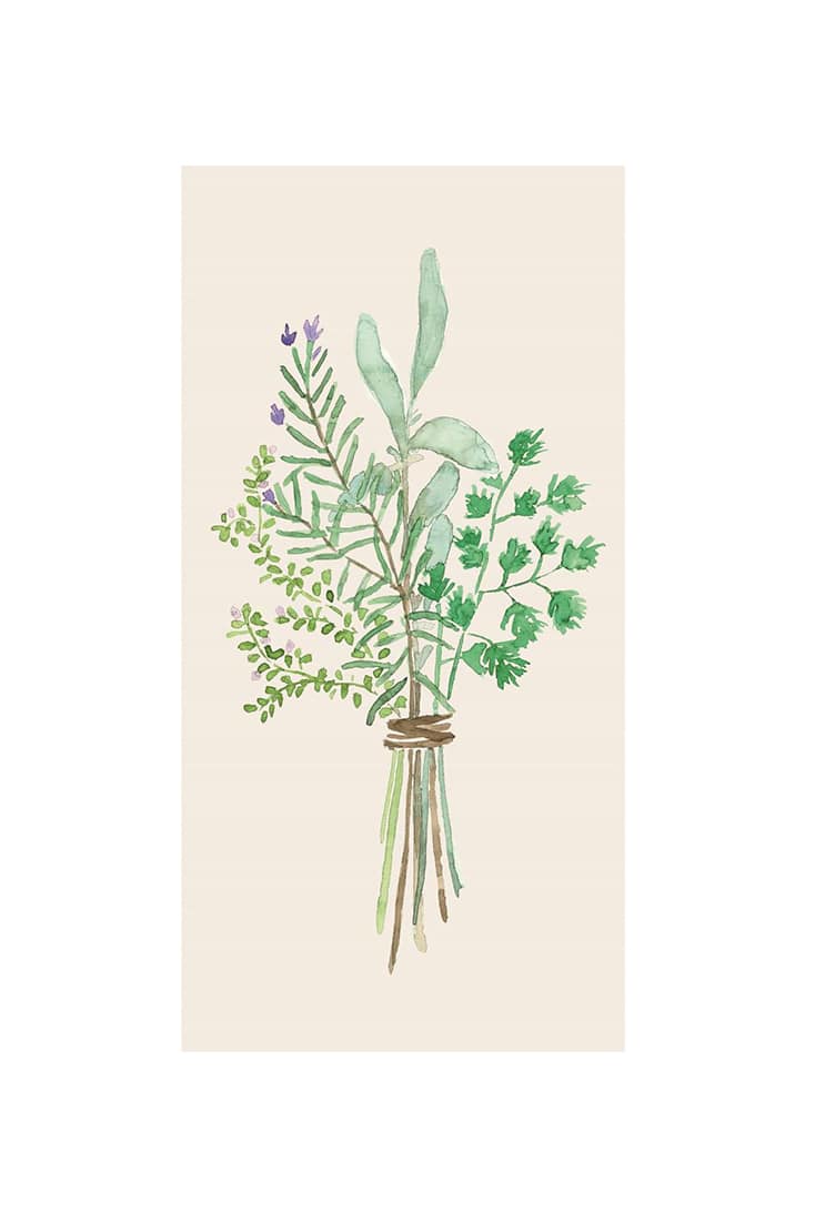 95864-00-krydderurter