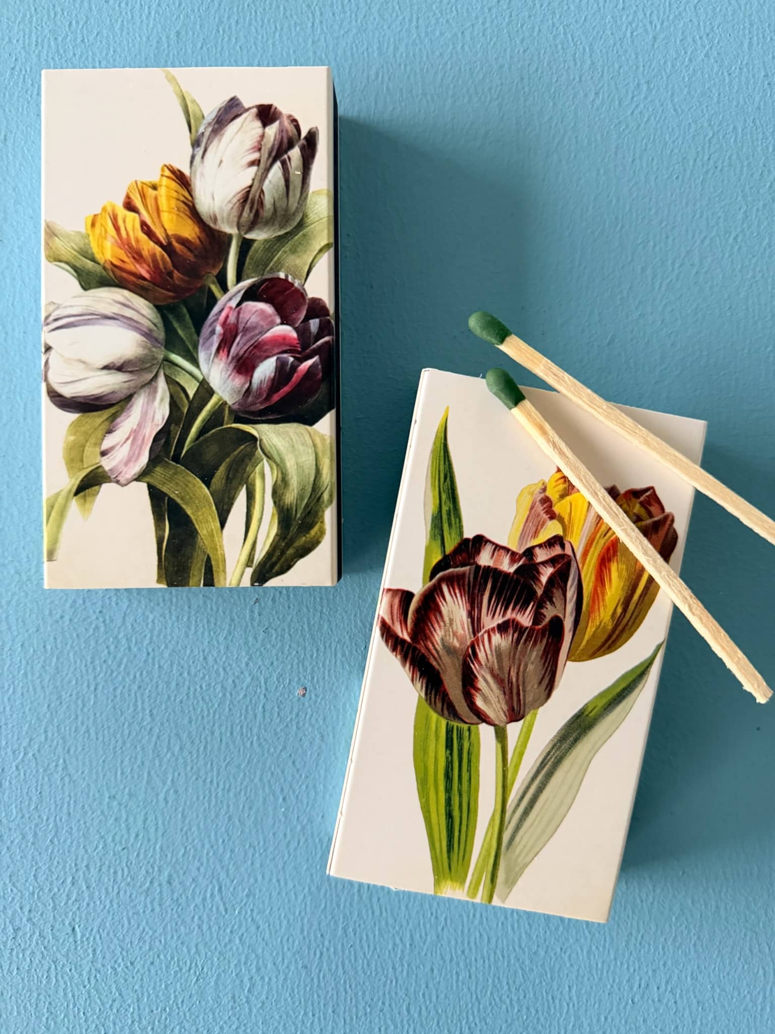 tændstikker-tulipaner