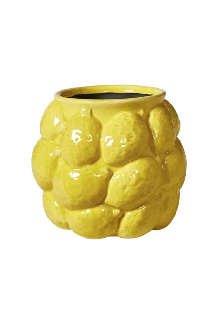 citron-skjuler-lille