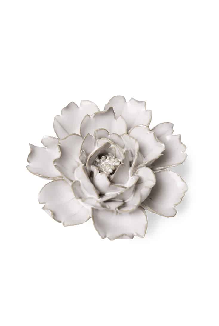 Ivory-rose