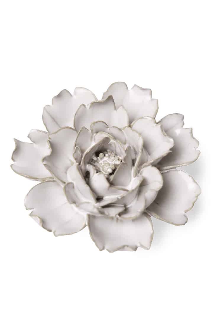 Ivory-rose