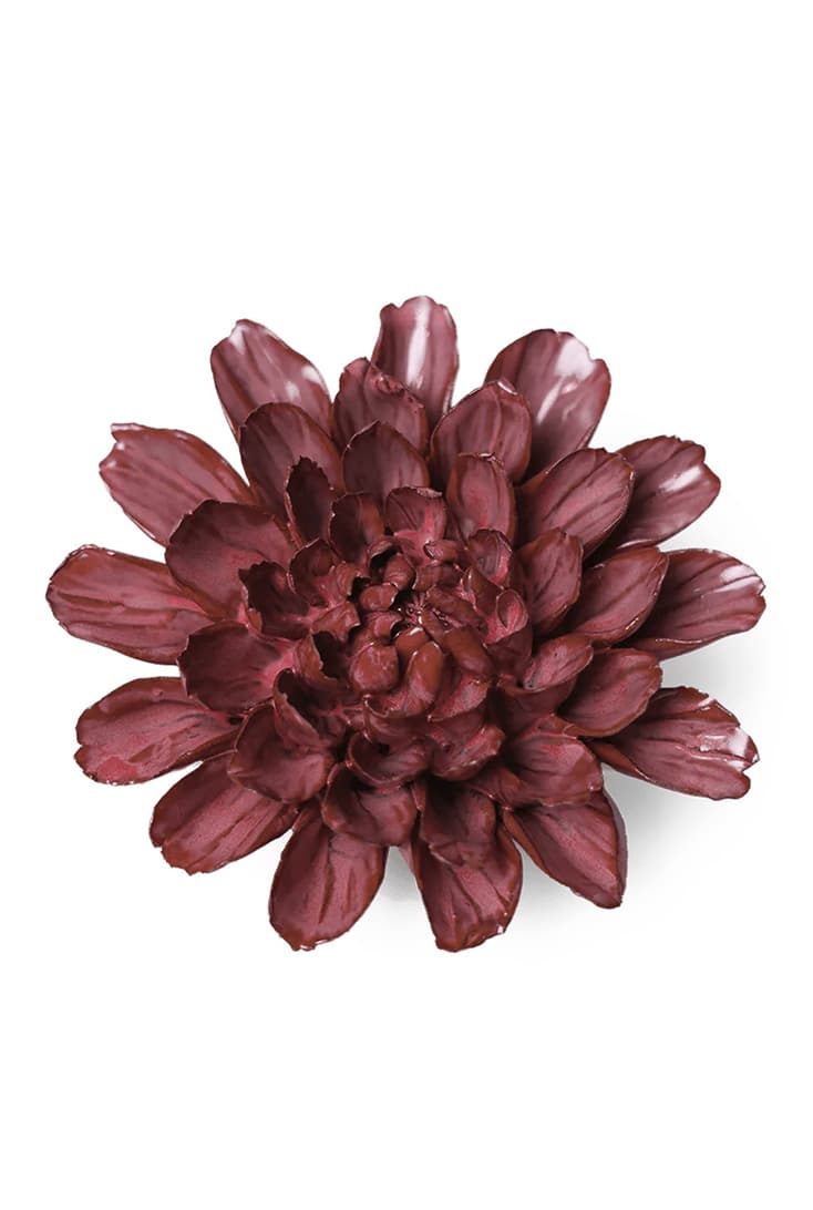 blush-pink-star-dahlia