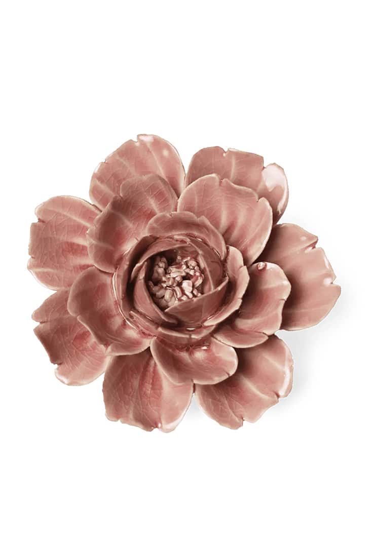 champagne-pink-rose
