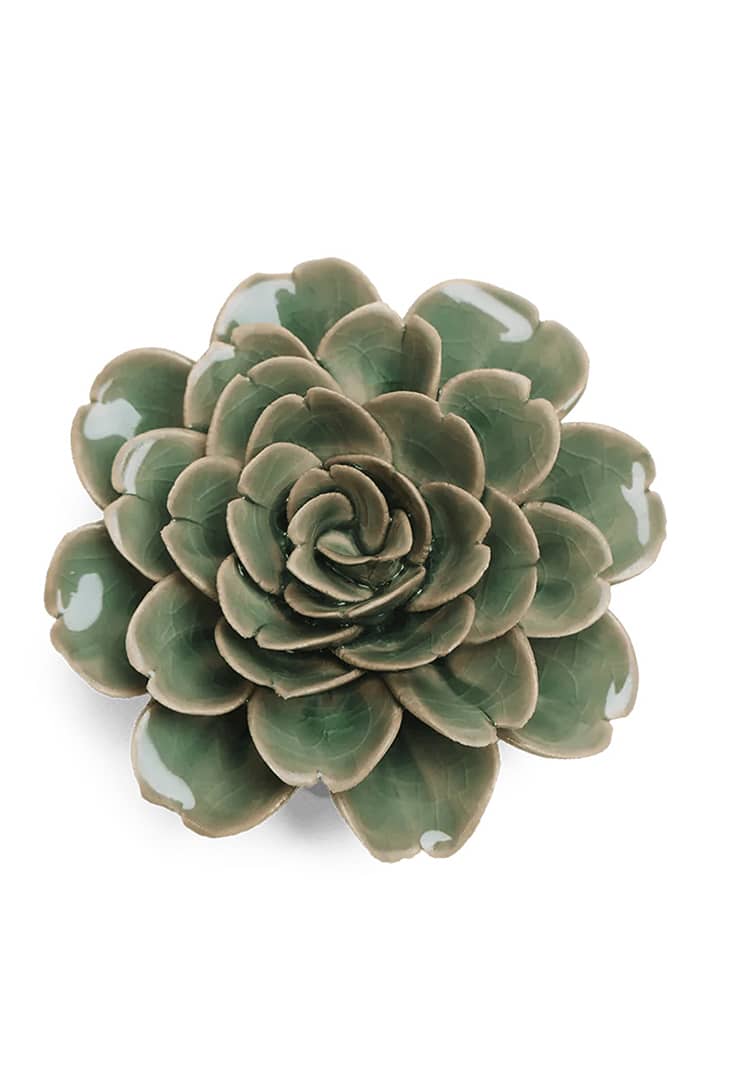 green-tea-rose