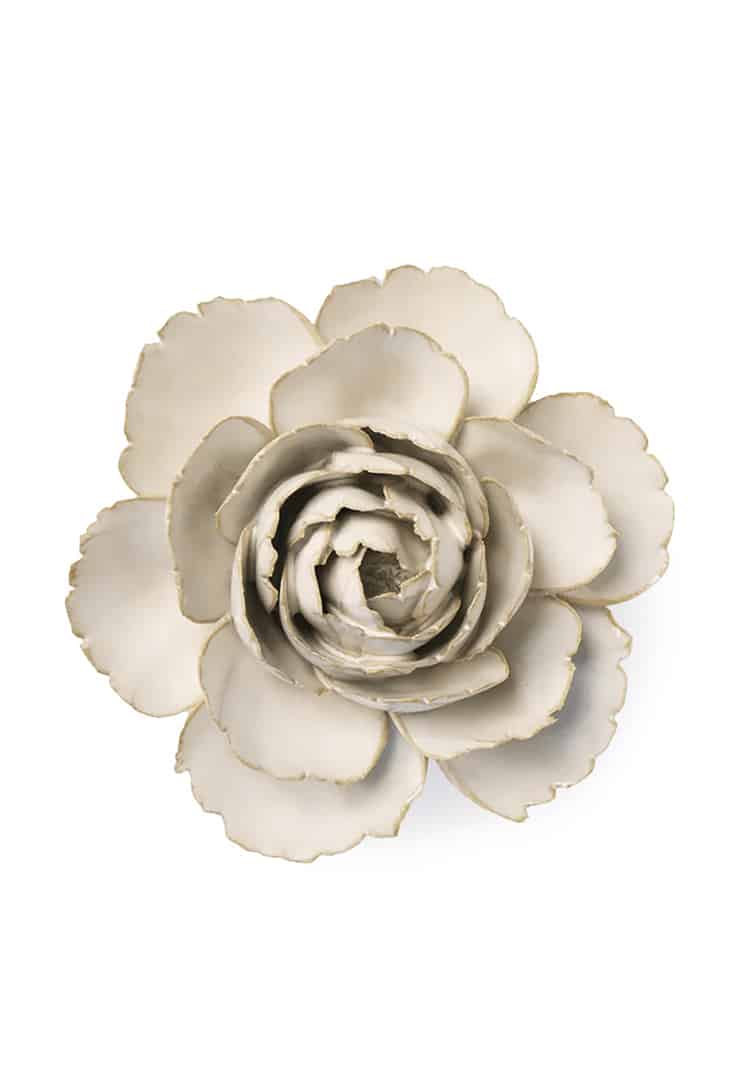 ivory-english-rose