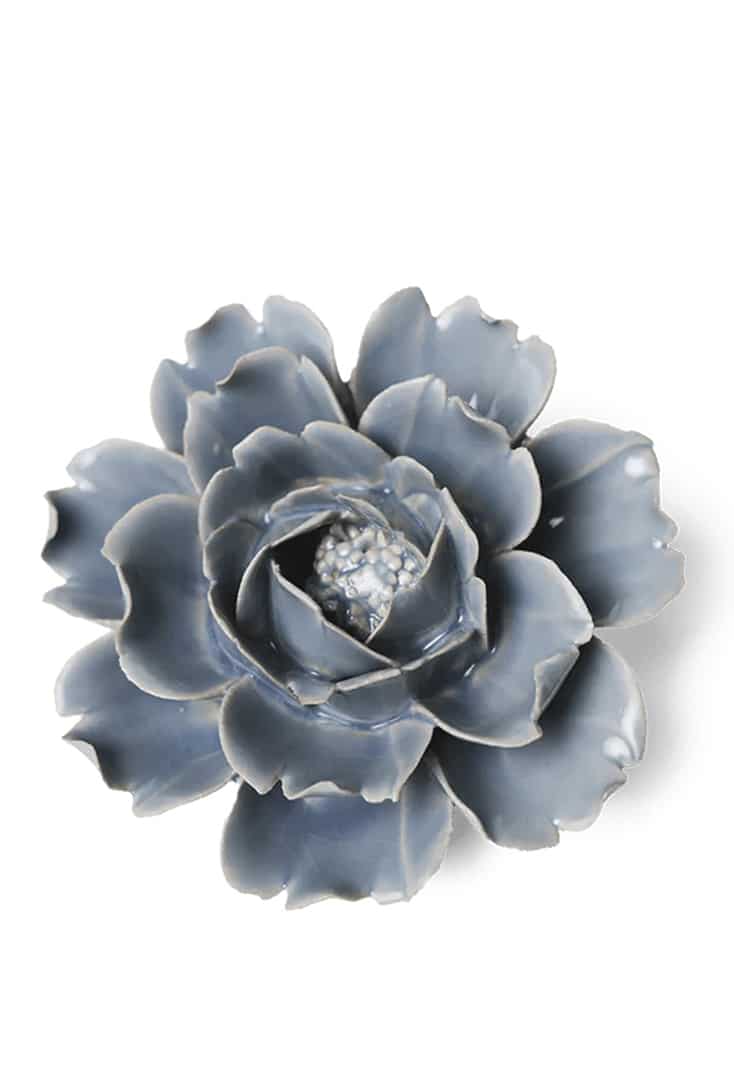 pastel-blue-rose