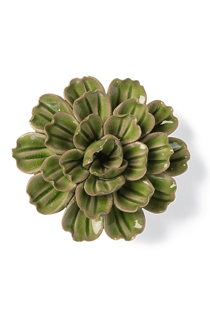 petunia-green