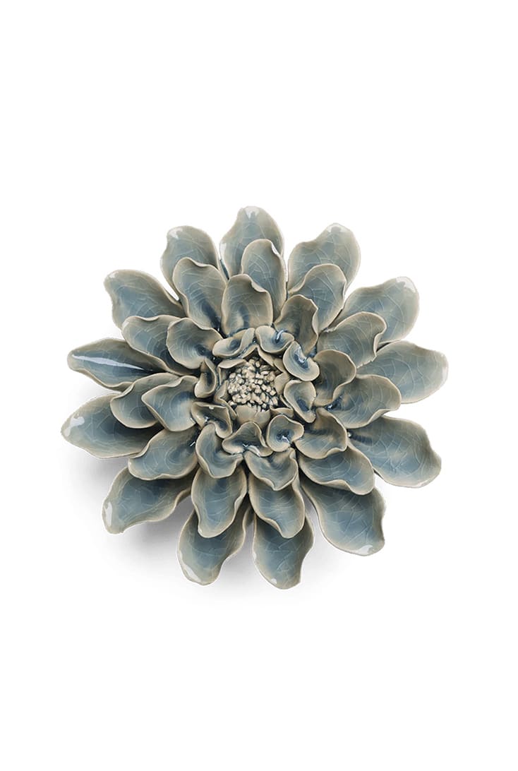 powder-blue-aphrodite-dahlia