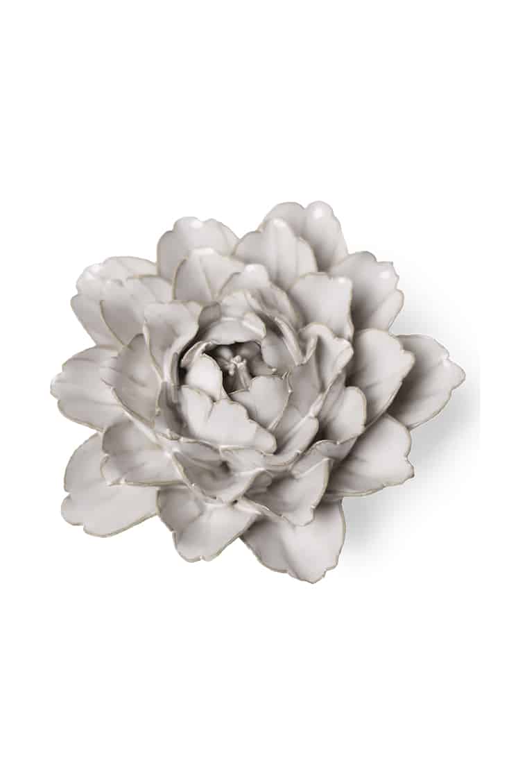 CO05-ivory-comanche-peony