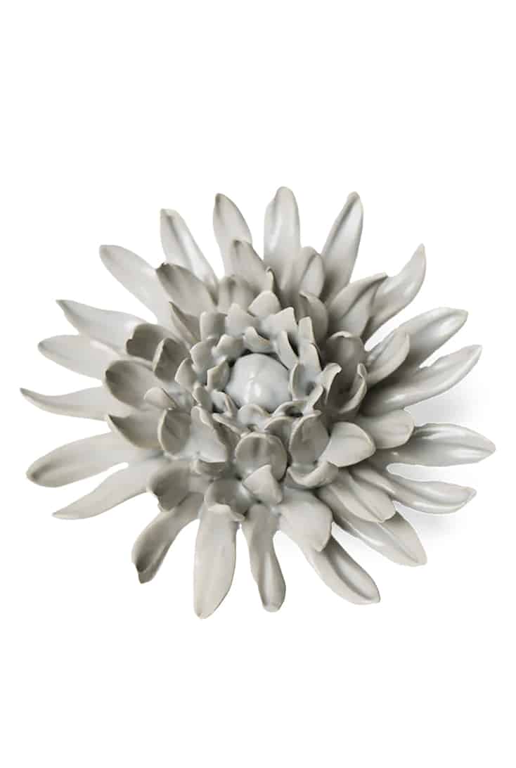 EG02-panache-green-spider-mum