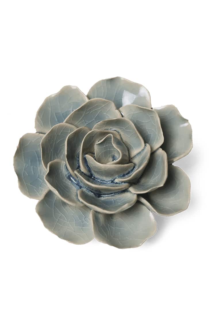 EG04-Powder-blue-amandine-ranunculus