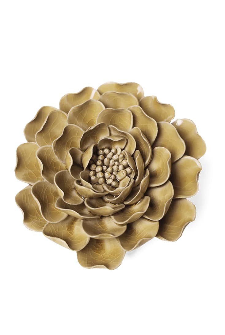 EG16-caramel-charm-peony