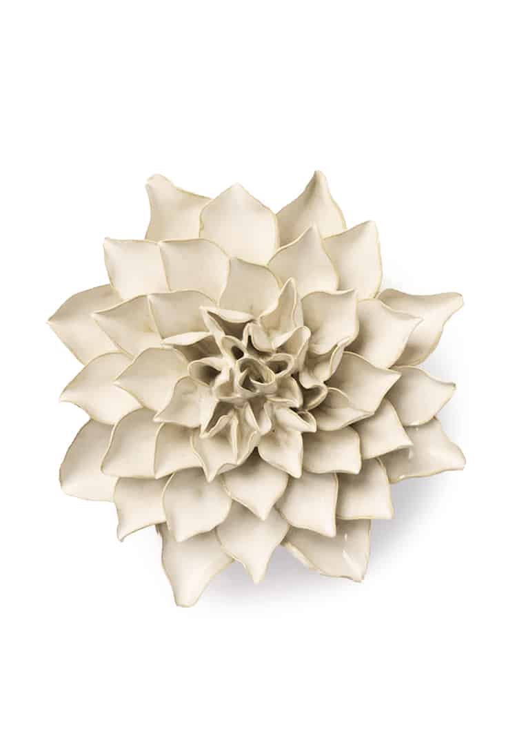 EG23-ivory-autumn-azalea