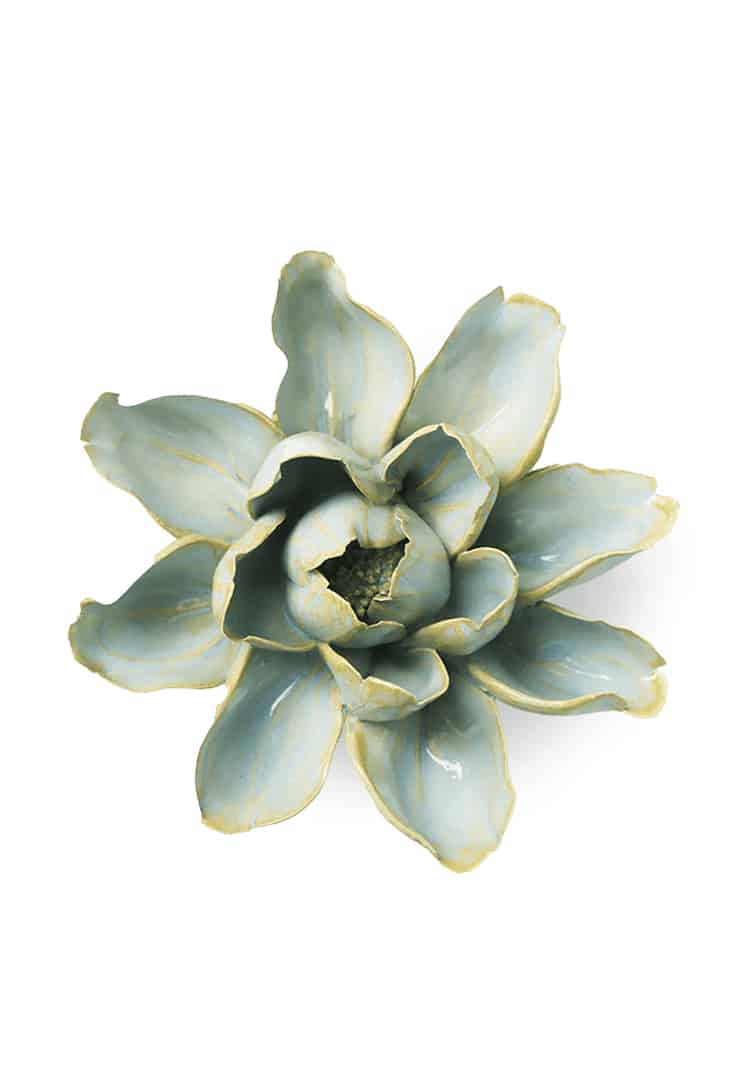 EG24-robin's-egg-blue-aurora-water-lily