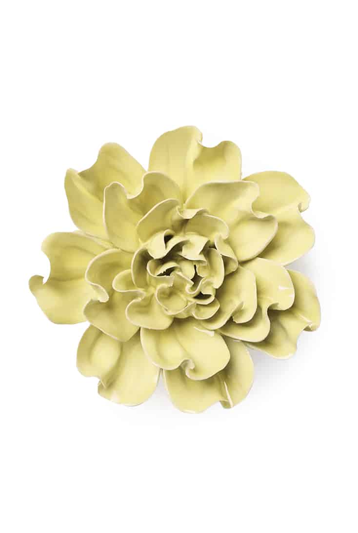 EG26-lime-yellow-larkspur