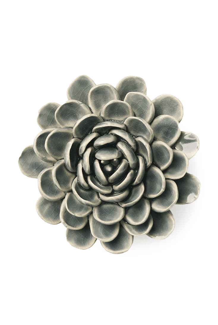EG29-pewter-blue-zinderella-zinnia