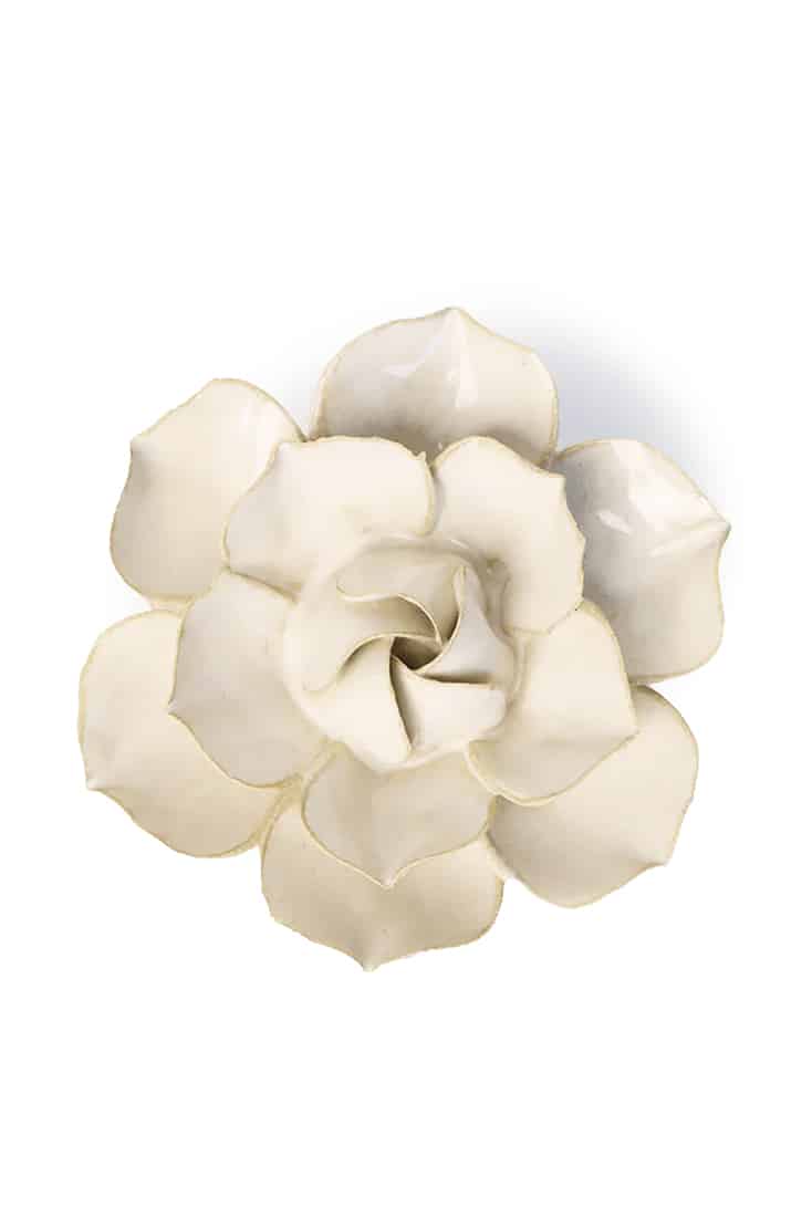 EG34-ivory-daffodil