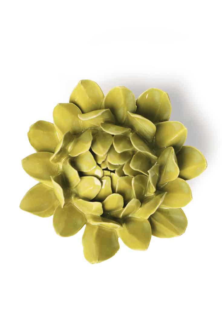 EG41-chartreuse-sugarblush-protea
