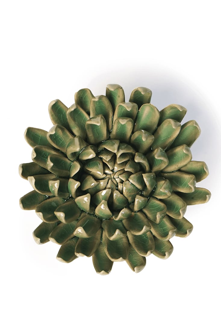 EG52-jungle-green-pompom-mum