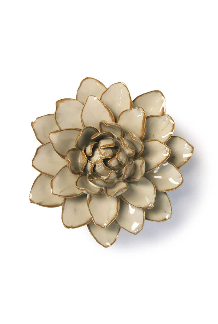 FR23-oatmeal-starbrite-water-lily