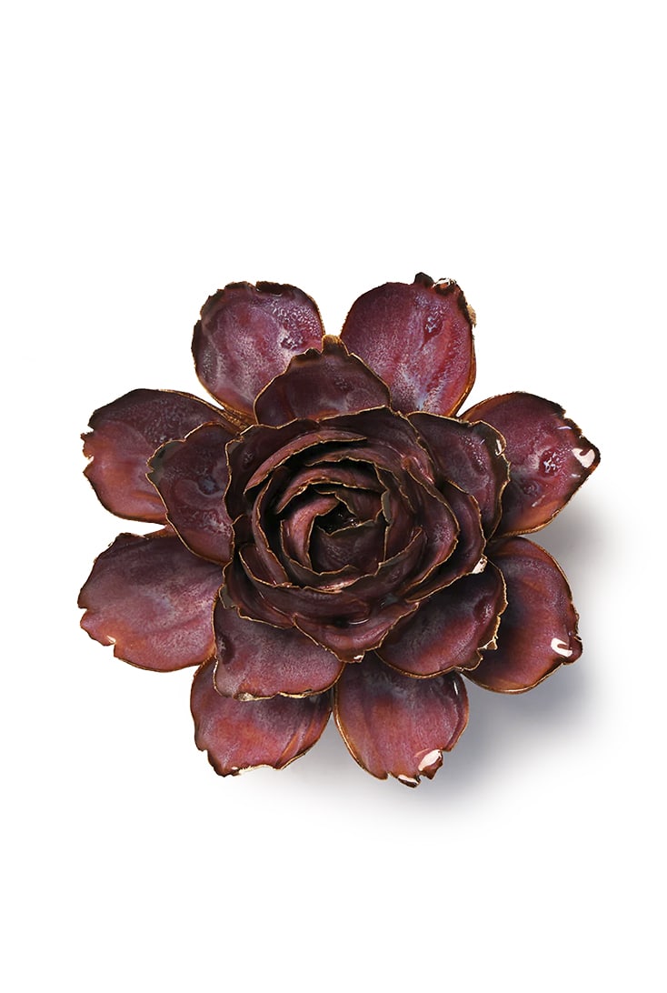 FR24-dewberry-camellia