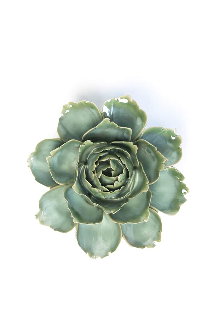 FR27-milk-teal-camellia