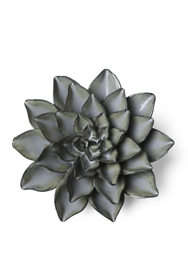 JA01-grey-goyet-azalea