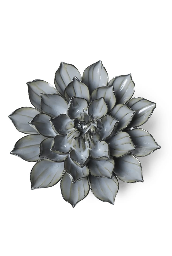 JA03-grey-green-monch-aster