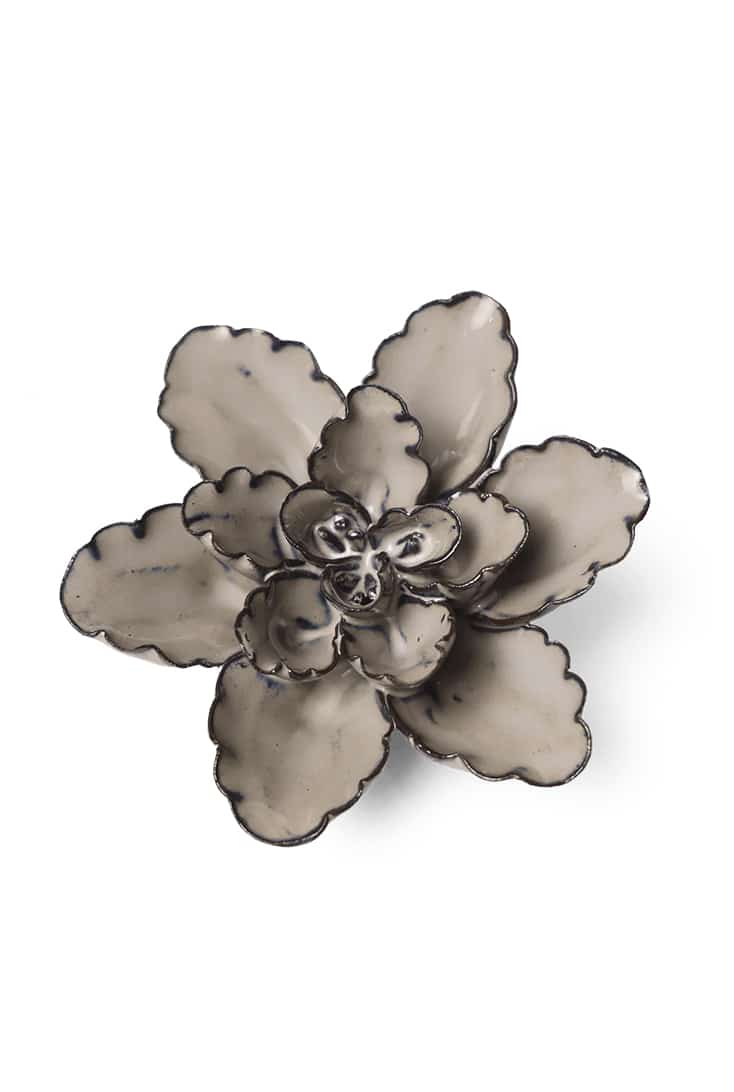 JA05-latte-empress-lotus