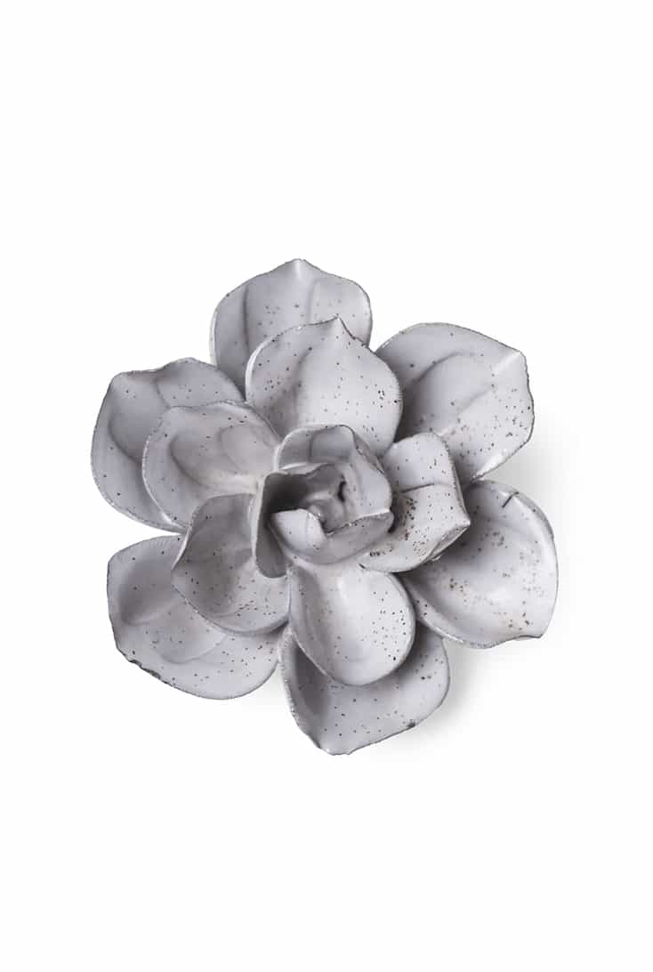 JA10-cement-aqualla-gardenia