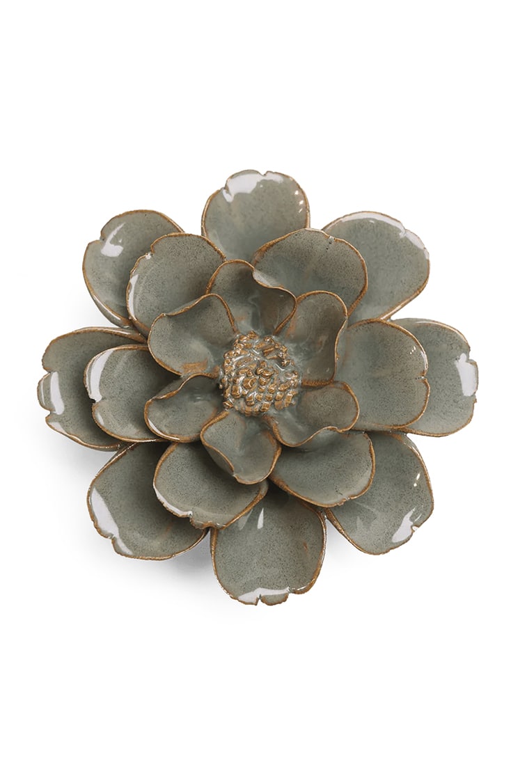 JA13-moss-grey-oxeye-daisy