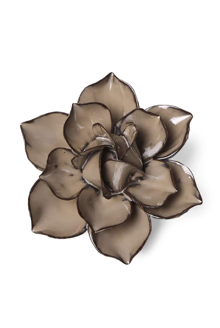 JA18-latte-daffodil
