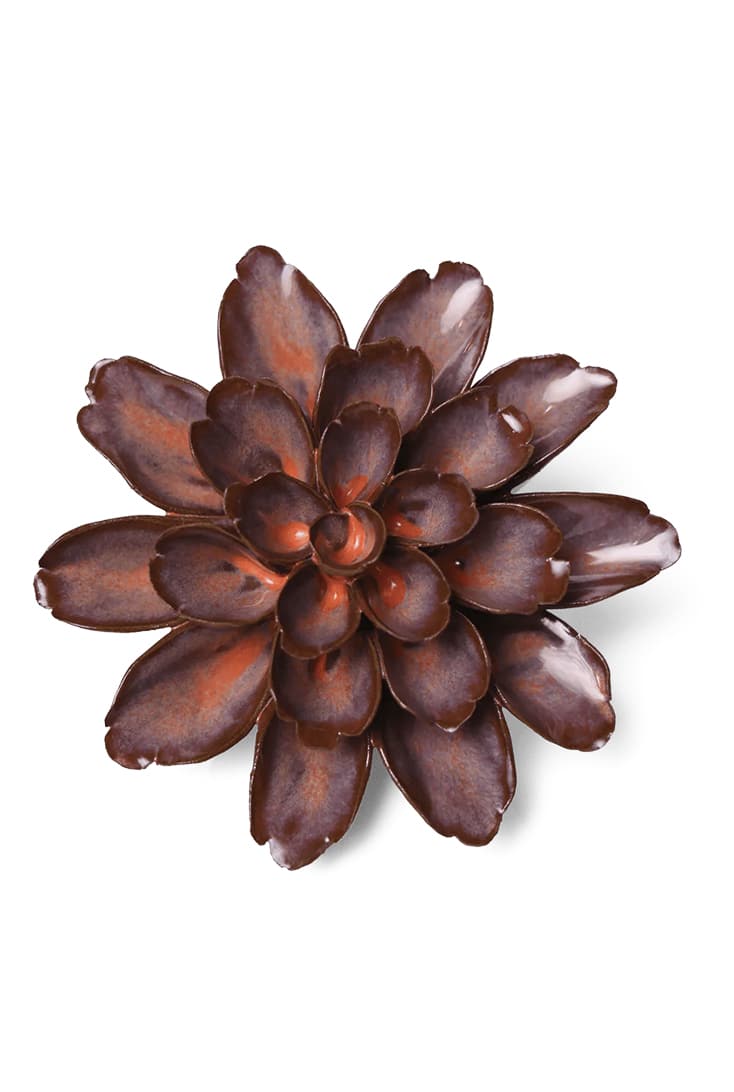 JA19-peach-mocha-cornflower