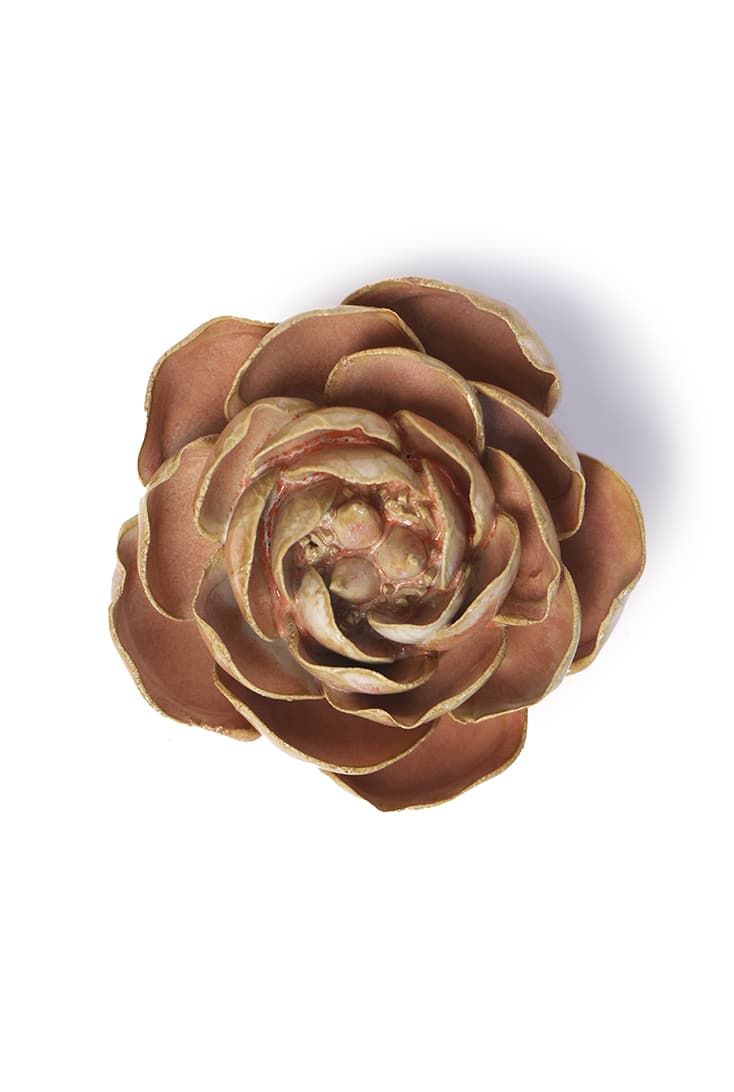 FR22-peony