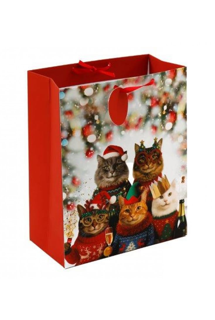 XM5941-gavepose-festlige-katte